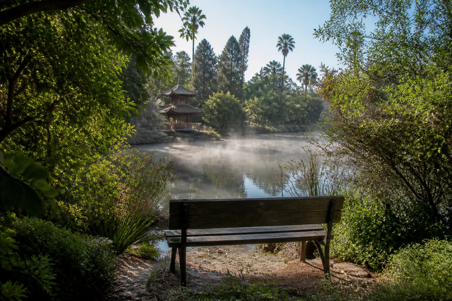 Оазис тишины у Малибу: что скрывает сад Shrine Lake
